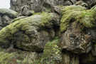 The lichen on the rocks almost glows