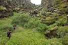 Two hikers going through brilliant green vegetation