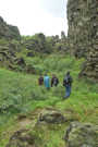 Hikers going through brilliant green vegetation
