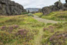 The trail leaving the rift goes through patches of purple wildflowers
