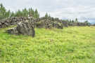 A ridge of basalt with trees along its upper edge
