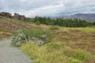 The trail winds down into a forest with mountains in the background