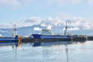 Ships in Reykjavik Harbour