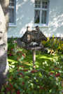 Icelandic bird feeder
