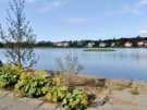 Residential neighborhood bordering a pond with a small island in the middle