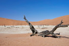 Deadvlei