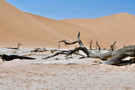 Deadvlei