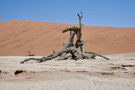 Deadvlei