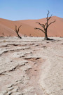 Deadvlei