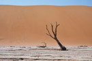 Deadvlei