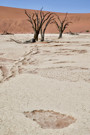 Deadvlei