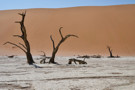 Deadvlei