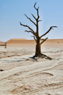 Deadvlei