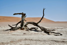 Deadvlei