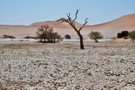 Sossus Vlei