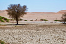 Sossus Vlei