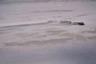 Shipwreck that used to be in the ocean but the dunes have reclaimed