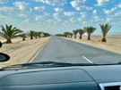 Palm lined highway paralleling the coast