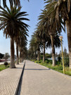 Walkway along shoreline