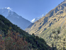 Getting closer to base camp under Salkantay