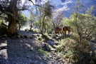 Trail to Lake Humantay