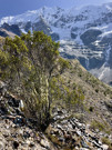 Hiking up above the lake