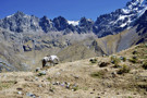 Ridge above the lake