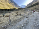 The hike follows a rough road for a ways up a valley into a canyon