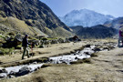 A hikers concession hut in the open area - hiking poles, soft drinks, snacks, etc - in the middle of nowhere