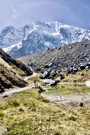 Small lake before the final climb to Salkantay pass