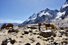 Our heros - our porter and his horse and mules, at the pass