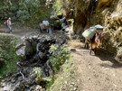 Stream crossing - mules loved the spot