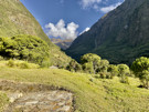 The grounds around Colpa Lodge