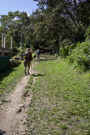 Back on the original Inca trail with the original Inca stone steps