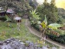 Inca trail going by Lucma Lodge and coffee growers