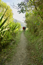 Inca trail just past Lucma Lodge