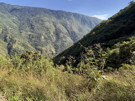 From Inca trail above the lodge, overlooking how they grow on the sides of the mountains