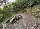 Continuing on the Inca trail for a ways before returning to the lodge