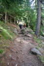 Trail quickly starts climbing up through the forest above town