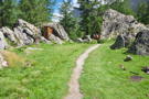 Just past this gentle break in the trail - the bridge!