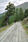 First part of trail follows an easy road