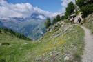 Our hiking group continues on the trails as it winds along the side of the mountain