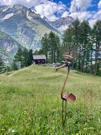 A neat little mountain hut with an creative sculpture on the side of the trail