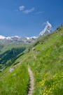 A relatively easy section of the trail with gentle incline