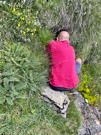 Digging for gold - or something else? Hopefully no goblins in there!