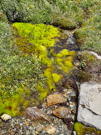 Ah, a spring coming out of the mountain - water was amazing!