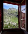 The view out of my room’s window